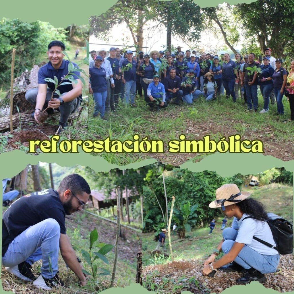 reforestación simbólica en Quebrada Llorona