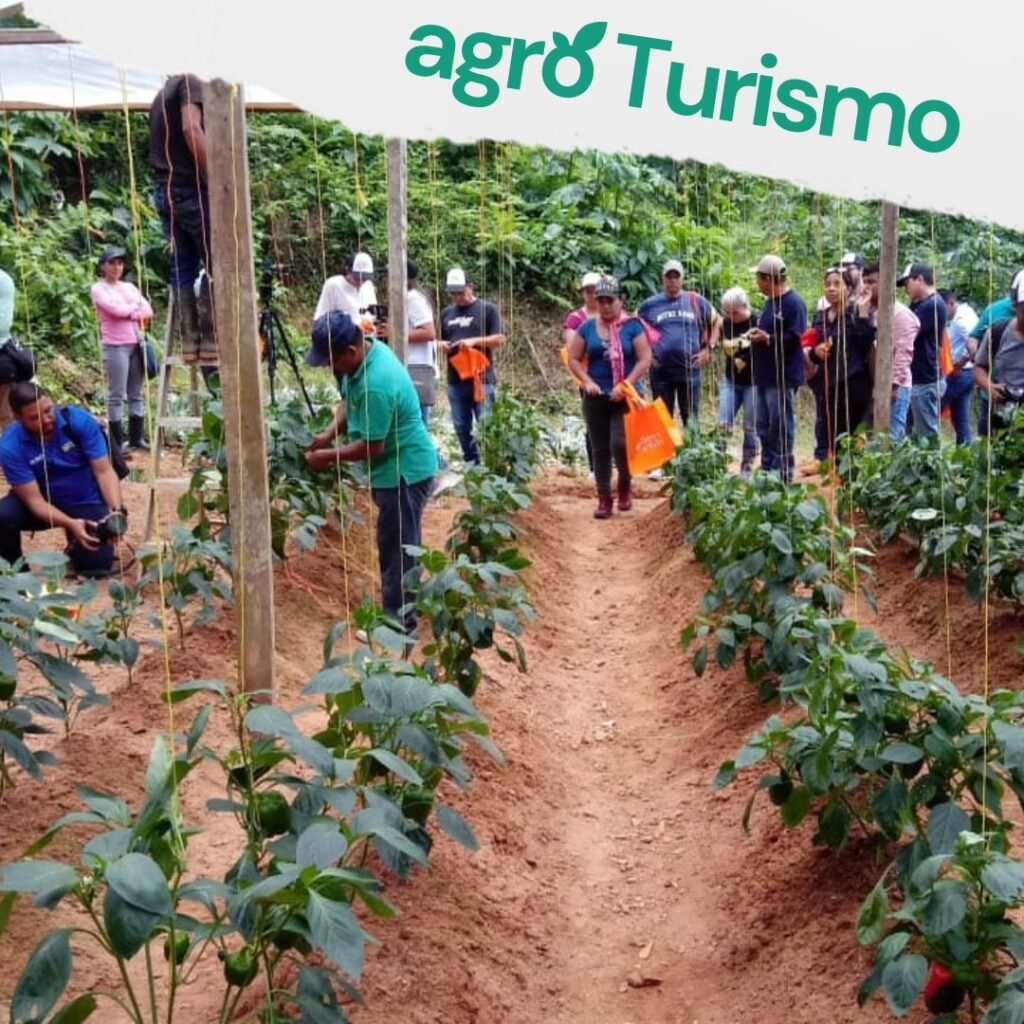 definición de agroturismo