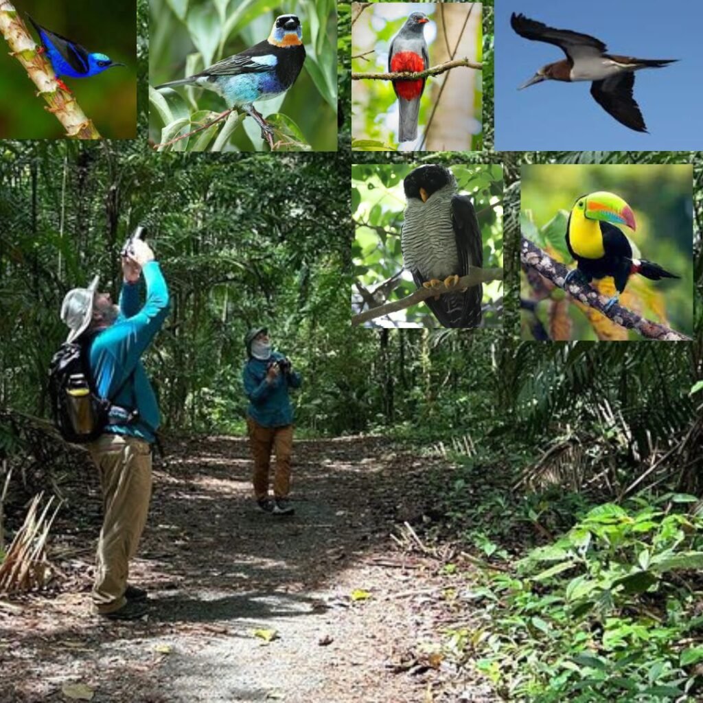 actividades al aire libre en el Parque Nacional Camino de Cruces