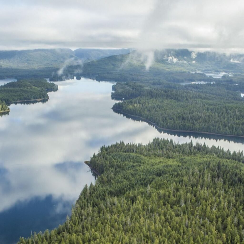 conservación impacto ambiental ecología