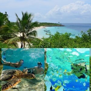 Isla Iguana