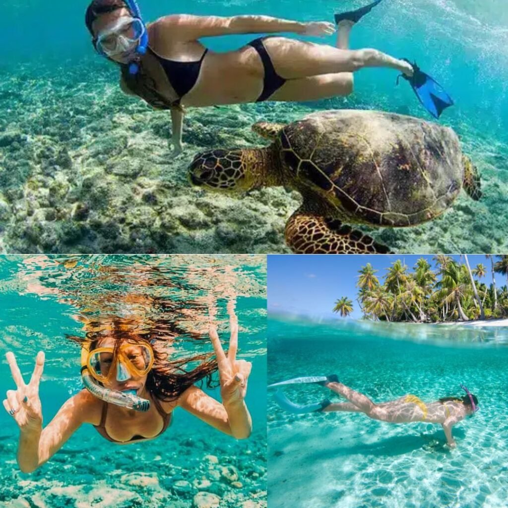 snorkel en Bocas del Toro