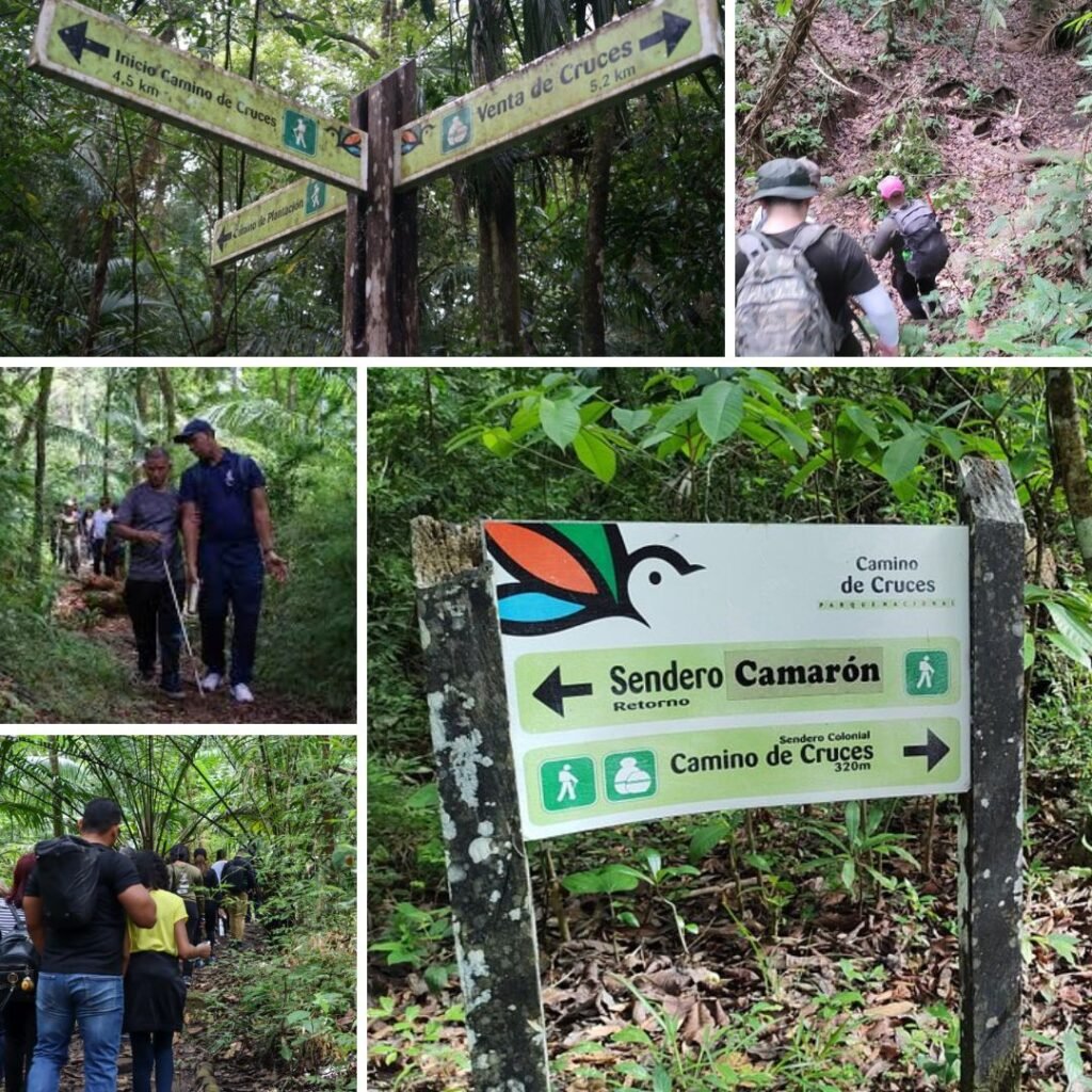 senderismo en el parque
