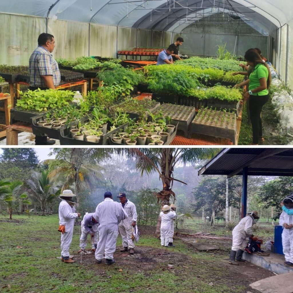 agricultura sostenible